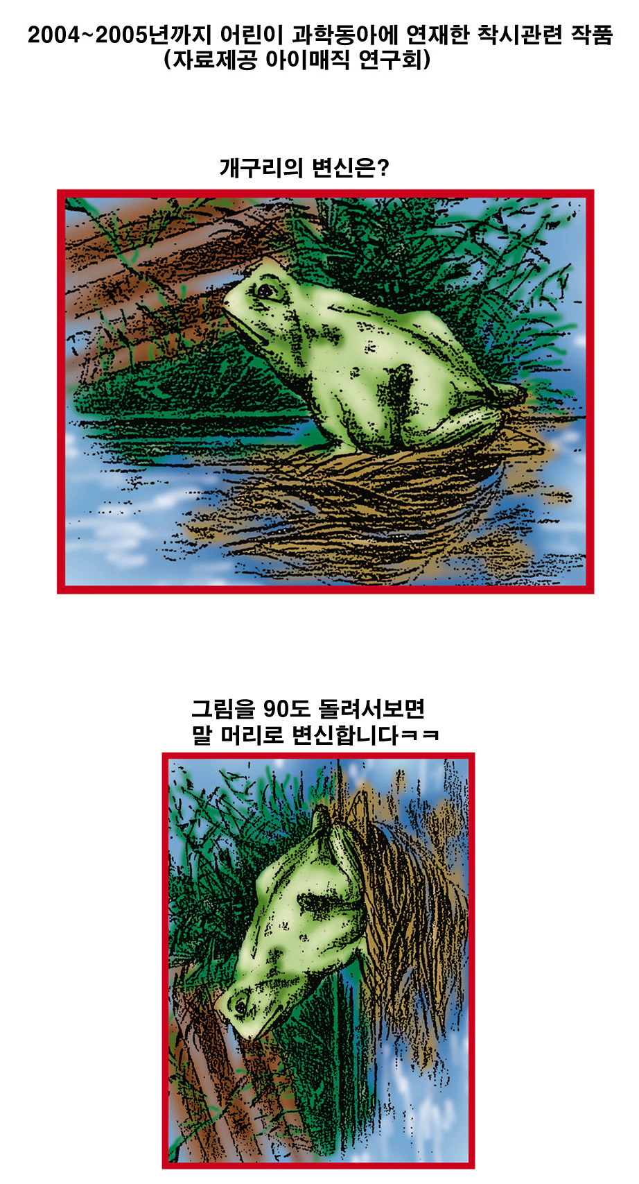 개구리의 변신.jpg